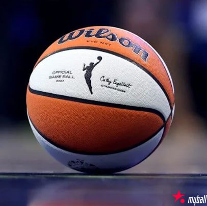 WNBA自由市场正式开启：80%球员成自由身，薪资暴涨引爆联盟重构，大发体育助力你的致富之路！